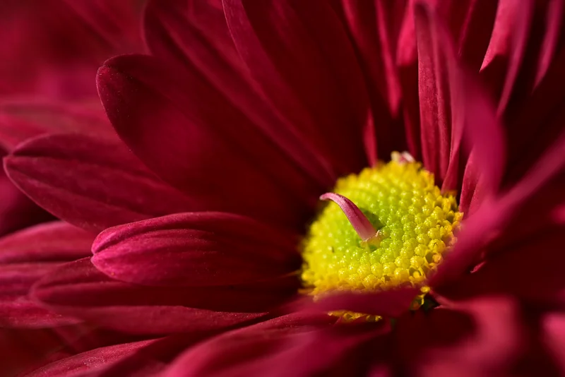 LogistiX Münster Logistikzentrum
